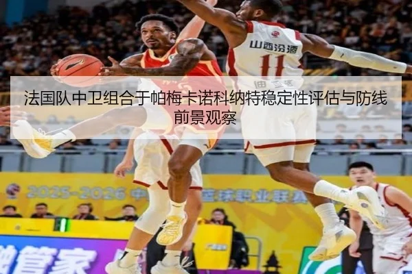 法国队中卫组合于帕梅卡诺科纳特稳定性评估与防线前景观察
